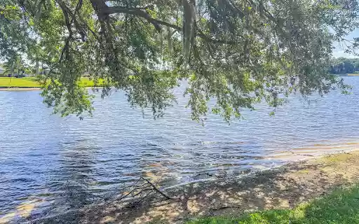 Trees cast shadows by the lake from Chrome web store to be run with OffiDocs Chromium online Trees cast shadows by the lake from Chrome web store to be run with OffiDocs Chromium online