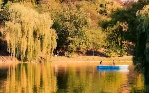 Weeping Trees by the Lake from Chrome web store to be run with OffiDocs Chromium online Weeping Trees by the Lake from Chrome web store to be run with OffiDocs Chromium online